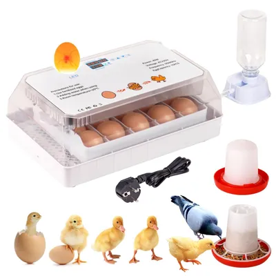 Brutapparat für 15 Eier, automatische Drehung, Wasserzugabe, Temperaturregelung