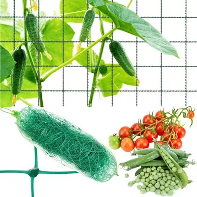 Obrázok produktu pre Gardlov Podporná sieť pre rastliny 2x10m 23978