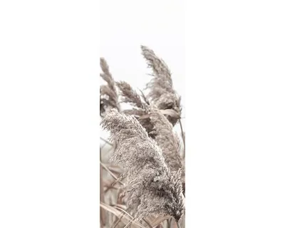 Produktbild von Glasbild In The Breeze II GLA2184 30x80 cm