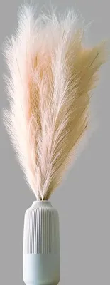 Image de Layba Herbe de la Pampa Décoration en beige Boho Herbe de la Pampa artificielle - 3 pièces 100cm, Idéal pour décoration de mariage, salon & chambre à coucher