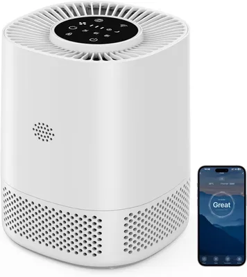 Image de Purificateur d'air - Purificateur d'air HEPA - Filtre à air - Purificateur d'air - Filtre HEPA H13, efficacité 99,97 %