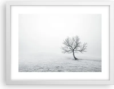 Produktbild von Gerahmtes Poster - Weißer Rahmen - Baum Feld Natur - 40x30 cm - Wand Bild - Wanddeko - Wandbilder - Kunstposter - Wandposter - Bilderrahmen - Bilder - Kunstdruck - Wandbild - P2WAA40x30-3683