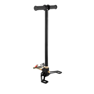 Produktbild von PCP-Pumpe, 4500 PSI, langlebiger Edelstahl, 4500 PSI Schwarz
