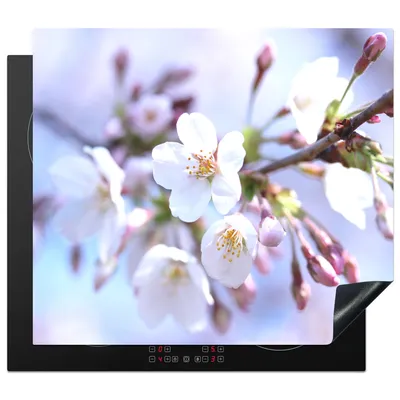 Produktbild von KitchenYeah© Herdabdeckplatte Blumen - Sakura - Zweig , 58x51cm, Küche Deko, Glaskeramikkochfeld Herdabdeckung, Abdeckplatte fùr Kochfeld