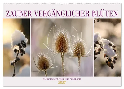 Immagine prodotto di Il fascino dei fiori effimeri (calendario da parete 2027, formato DIN A2 orizzontale), calendario mensile CALVENDO