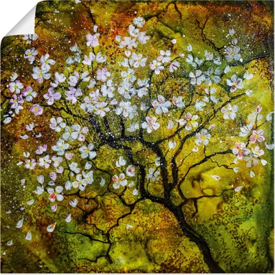 Produktbild von ARTland Poster Kirschblüte Größe: 50x50 cm
