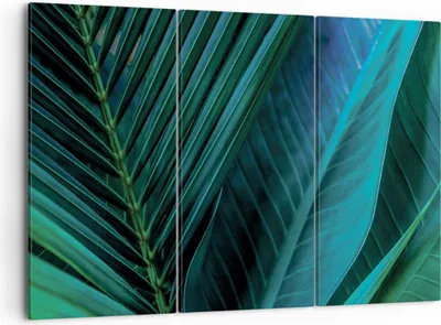 Produktbild von Bild auf Leinwand - Leinwandbild - 3 Teile - Blatt Tropen Grün - 105x70cm - Wand Bild - Wanddeko - Wandbilder - Leinwanddruck - Bilder - Wanddekoration - Leinwand bilder - Wandbild - CE105x70-5071