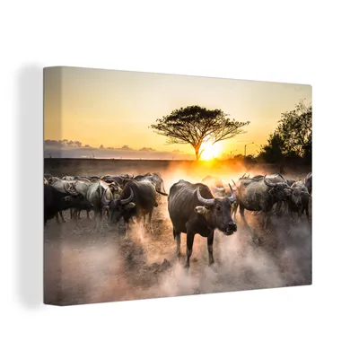 Produktbild von OneMillionCanvasses® - Leinwandbilder - 150x100 cm, Eine große Gruppe von Stieren bei Sonnenuntergang, Wandbilder Kunstdruck Wanddekoration