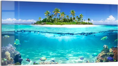 Produktbild von DEQORI Glasbild Echtglas 100x50 cm 'Insel im tropischen Meer' Wandbild Bild modern Deko