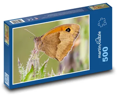 Obrázek produktu pro Puzzle 500 Okáč luční na květu - martinpuzzle