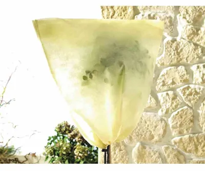 Image de SIENA GARDEN Sac pour plantes en bac S 2 pièces