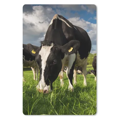 Produktbild von MuchoWow® Mauspad Mousepad Kühe - Tiere - Gras - Wiese - Bauernhof 18x27 cm - Mousepads - Maus Mat - Pad - Mausunterlage