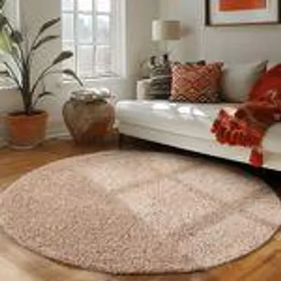 A living room scene with a round rug in the foreground, a sofa with pillows and a throw in the midground, and a plant and window in the background.