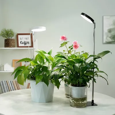 Obrázok produktu pre LED rastlinná lampa s plným spektrom, stmievateľná, výškovo nastaviteľná, rastlinné svetlo pre izbové rastliny, rastlinná lampa s podstavcom a časovačom, biela