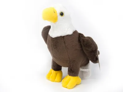 A stuffed toy eagle is shown against a white background.