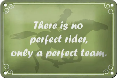 Produktbild von Blechschild Spruch 18x12cm there is no perfect rider only