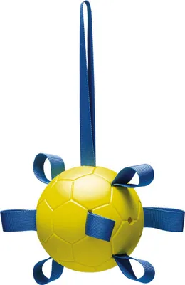 Immagine prodotto di Giocattolo per cani Beetztees Fetch Ball Power in gomma, giallo