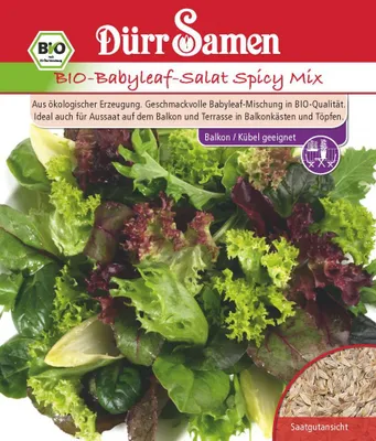 Artikelbild 1 von 'Bio-Babyleaf-Salat Spicy Mix' aus der Kategorie Kopfsalatsamen