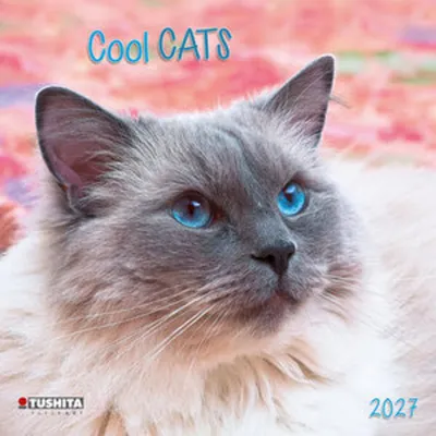 Obrázok produktu pre Cool Cats 2027