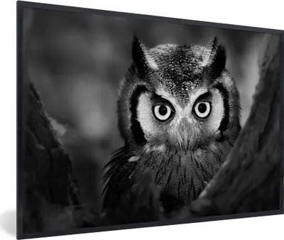 Produktbild von MuchoWow® Gerahmtes Poster Vogel - Eule - Porträt - Schwarz - Weiß 90x60 cm - Poster mit Schwarzem Bilderrahmen Wandposter Rahmen Foto Bilder - Fotorahmen - Foto-Plakat