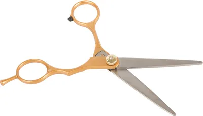 Image de Verk 01857 Ciseaux de coiffure professionnels 16 cm or