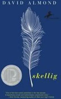 Productafbeelding van Skellig