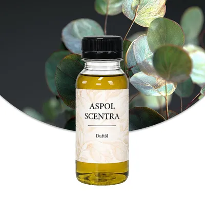Produktbild von Aspol Scentra Eukalyptus UFIREADY Duftöl für Kerzen und Diffusoren 100 ml, KI-generiertes Bild
