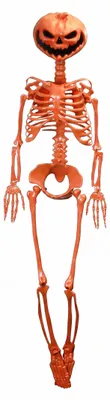 Produktbild von Summerween Gelenkskelett mit Kürbiskopf Orange 1 m -, KI-generiertes Bild