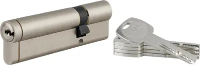 Image de Cylindre de serrure débrayable Transit 1, 30x80mm, 5 clés, nickelé - THIRARD