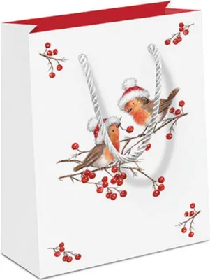 Productafbeelding van Kerstcadeautas. Kerstvogeltjes, witte roodborstjes met kerstmuts