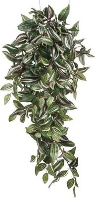 Obrázek produktu pro Mica Decorations Tradescantia - závěsná umělá rostlina - D15 x Š30 x V80 cm - zelená