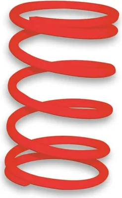 Image de Malossi Variator-Einstellfeder Rot k 5,4