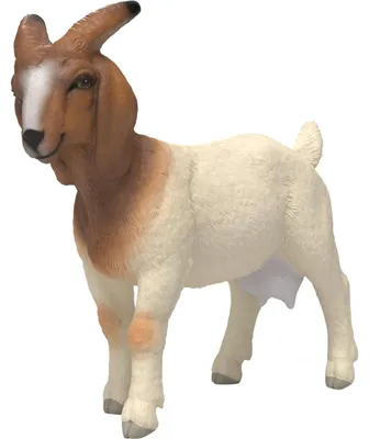Zdjęcie produktu dla schleich FARM WORLD 14929, 3 lat(a), Wielobarwny, Plastik