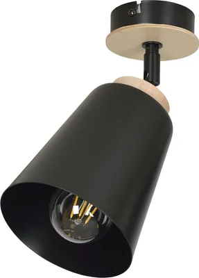 Immagine prodotto di LAMPADA DA SOFFITTO Emibig 1xE27 60W ATLAS 1 NERA 725/1