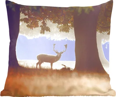 Produktbild von MuchoWow® Zierkissen Sofakissen Wohnzimmer Dekokissen 50x50 cm Hirsche - Bäume - Wald - Komfort - Sofakissen