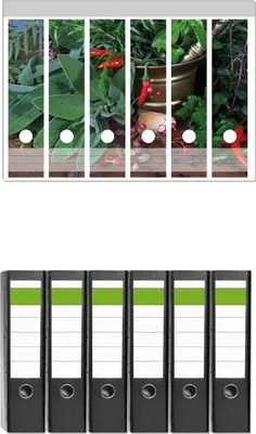 Produktbild von Wallario 6 Stück breite Ordner inkl. Klebeetiketten mit Motive Frische  Kräuter  und  Gewürze -  Set mit Rückenschildern / Ordnerrücken Stickern