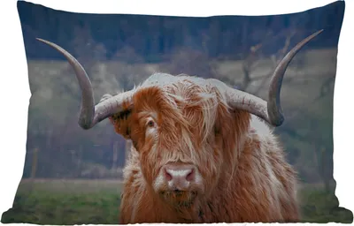 Produktbild von MuchoWow® Outdoor Kissen - Schottisches Hochlandrind - Hörner - Berg - 60x40 cm - Wetterfest - Lounge Kissen - Zierkissen - Kissen für Innenräume
