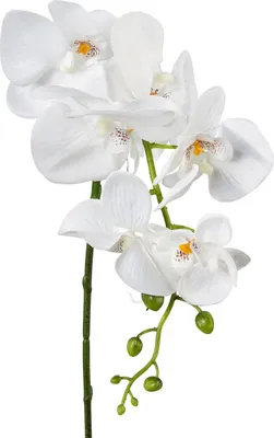 Produktbild von GASPER Phalenopsis - Schmetterlingsorchidee Weiß 86 cm - Kunstblumen