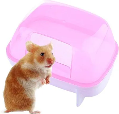 Productafbeelding van Zandbad Hamster - Hamsterbad Zandbak - Hygiëne Kleine Dieren - Afneembaar Ontwerp - 10x7.5x7.5 cm - Rood