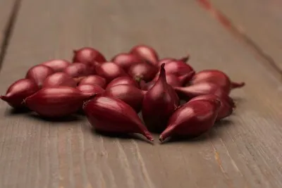 Produktbild von Wintersteckzwiebel Akado rot (250 g)