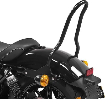 Image de Sissybar pour Harley Davidson Sportster 04-20 # Tampa S noir