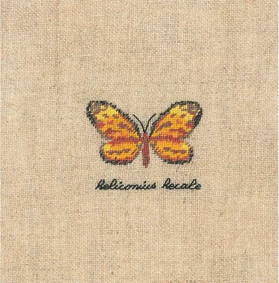 Productafbeelding van Le Bonheur des Dames, Petit Point, stickpakket "Miniatuur gele vlinder", telpatroon, 3,5 x 4,5 cm