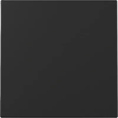Image de Bascule Gira, système 55, noir, m, 1 pièce.