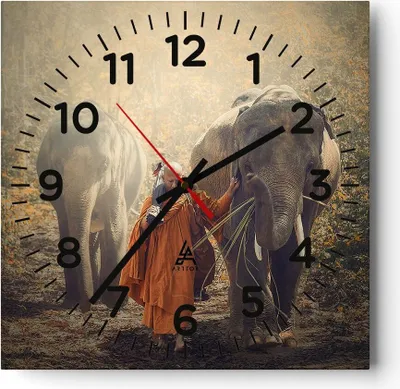 Produktbild von Wanduhr - Quadrat - Glasuhr - Elefant Mönch Dschungel - 40x40cm - Schleichendes Uhrwerk - Lautlos - zum Aufhängen bereit - Dekoration Modern - Wanddekoration aus Glas - C4AC40x40-3453