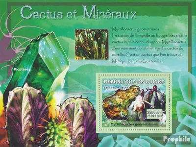 Produktbild von Briefmarken Guinea 2007 Mi Block 1210 (kompl. Ausgabe) postfrisch Myrtillocactus geometrizans / Dioptase