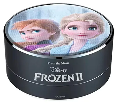 Immagine prodotto di Altoparlante Bluetooth portatile nero congelato
