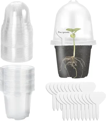 Produktbild von Anzuchttöpfe 9 cm, 20 Stück, transparent, mit Feuchtigkeitskuppel und Pflanzschildern, für Saat