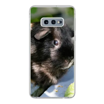 Produktbild von MuchoWow® Handyhülle Schutzhülle Hülle für Samsung Galaxy S10e Meerschweinchen im Garten Silikon Softcase Handy Hülle - Handy