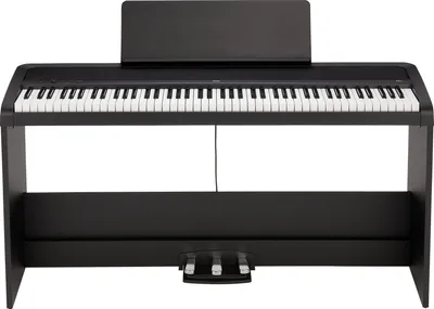 Image de Korg B2+SP BK