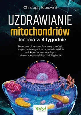 Immagine prodotto di Riparazione dei mitocondri: una terapia di 4 settimane